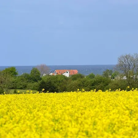Steiner Strandappartements 106 Sued- Landseite Stein (Schleswig-Holstein)